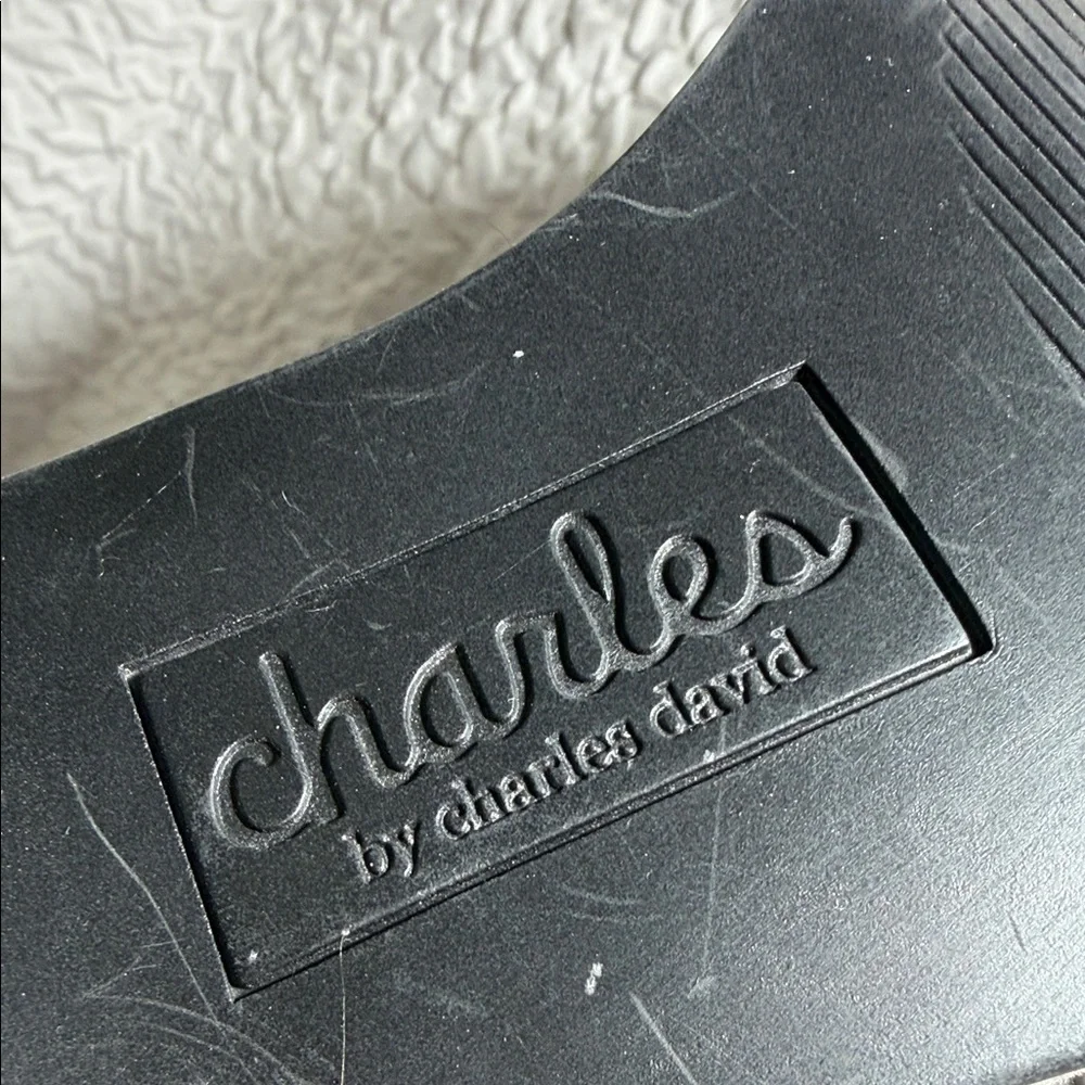 Charles By Charles David Dark Gray Over the Knee Boots NWOT